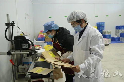 獨(dú)山縣小微企業(yè)商會(huì)獲“四好”榮譽(yù)，食品互聯(lián)網(wǎng)銷售成創(chuàng)新亮點(diǎn)